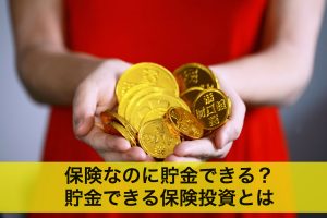 保険なのに貯金できる？貯金できる保険投資について徹底解説