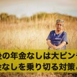 老後の年金なしは大ピンチ?年金なしを乗り切る対策とは