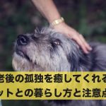 老後の孤独を癒してくれるペットとの暮らし方・注意点まとめ