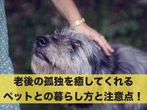 老後の孤独を癒してくれるペットとの暮らし方・注意点まとめ