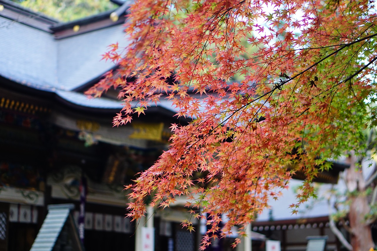 お金持ちになれる神社16選