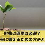 貯蓄保険のランキング発表!掛け捨て保険との違いも解説