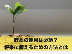 貯蓄保険のランキング発表！掛け捨て保険との違いも解説