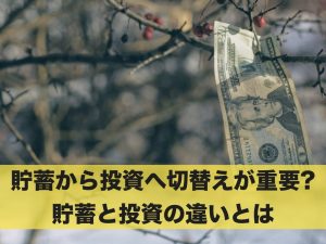 貯蓄から投資への切り替えが重要？貯蓄と投資の違いとは